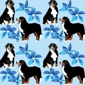 Bernese Mountain Dog  with blue flowers smaller print Dog Fabric