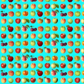 Tiny apples and dots on aqua ground 