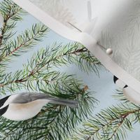 Chickadees and Pine Boughs Light Blue