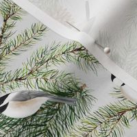 Chickadees and Pine Boughs Gray