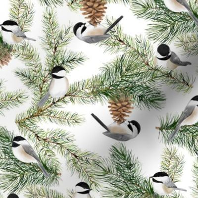 Chickadees and Pine Boughs White