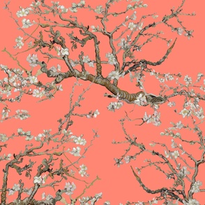 Almond Blossoms ~ Van Gogh ~ Coral