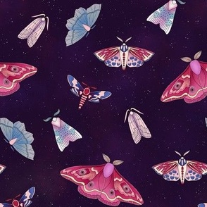 moths in space