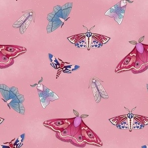 Moths on pink