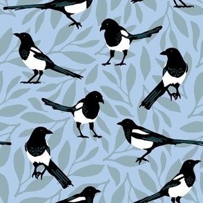 Black and White Magpies on Soft Blue