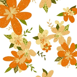 Orange Flowers with White Background