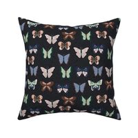 Into The Woods: Multicolor Butterfly-Black