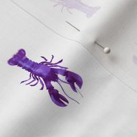 Purple Watercolor Lobster, Small on White