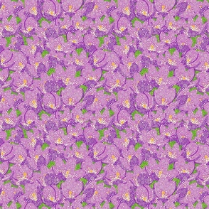 Crocus Flowers - Tinted