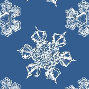 Microscope Snowflakes (Jumbo) - White on Medium Blue