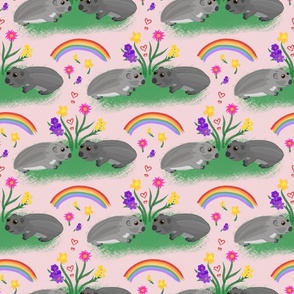 Wombat Friends (rainbow) - cotton candy pink