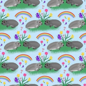 Wombat Friends (rainbow) - baby blue