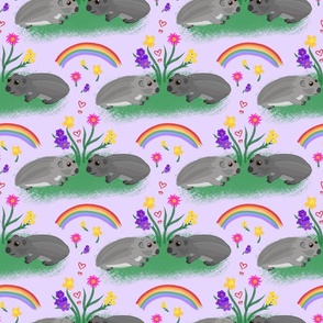 Wombat Friends (rainbow) - lavender purple