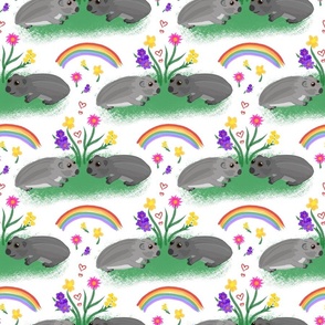 Wombat Friends (rainbow) - white