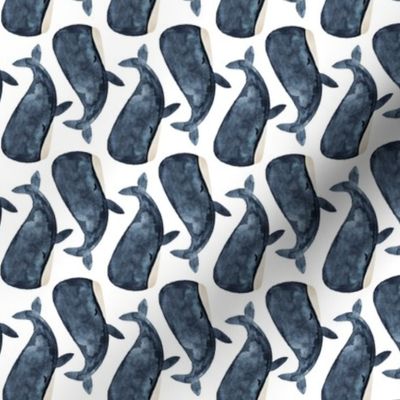 rotated jonah's whale // navy // small