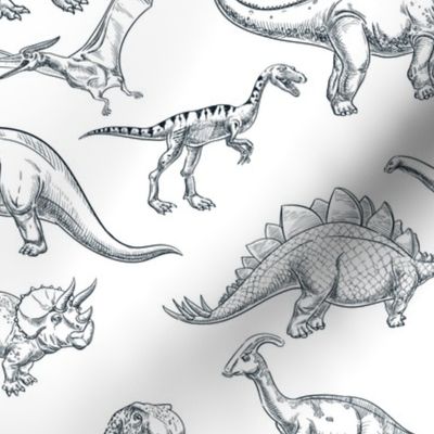 Dinosaur Sketch