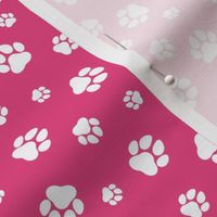 Paw Prints Pink and White