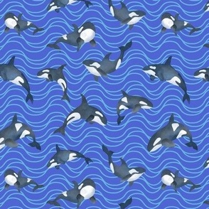 orca mini