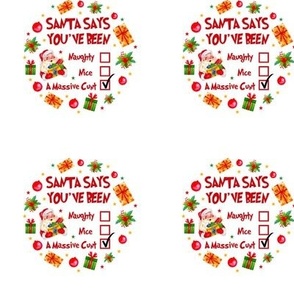 3" Circle Panel Santa Says You've Been Naughty Nice A Massive Cunt Sarcastic Sweary Holiday Humor for Embroidery Hoop Projects Quilt Squares Iron on Patches Small Crafts
