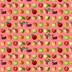 Tiny apples and dots on coral ground 