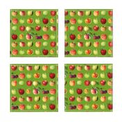 Tiny apples and dots on grass green ground
