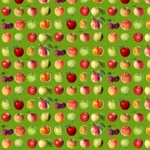 Tiny apples and dots on grass green ground