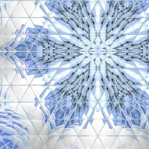 faceted snow flake