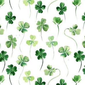 Wild Shamrocks