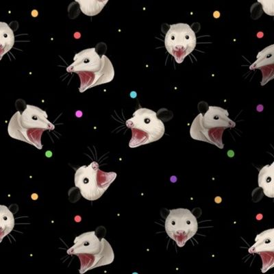 Funfetti Possum Party black