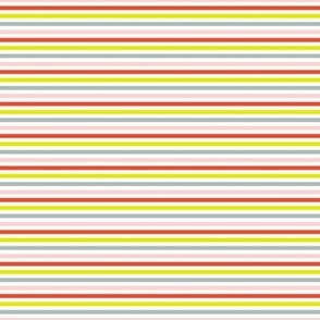 Multicolor Micro Stripe