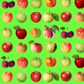 Apples and dots on spring green ground