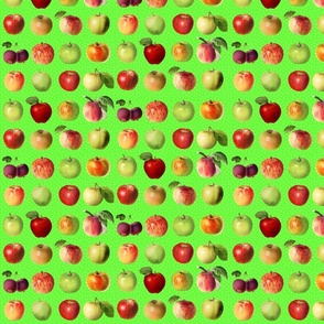 Tiny apples and dots on spring green ground