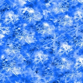 Scattered Snowflakes and Ice in Cobalt Blue