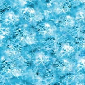 Scattered Snowflakes and Ice in Caribbean Blue