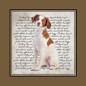 Brittany Spaniel Pillow/Quilt Block