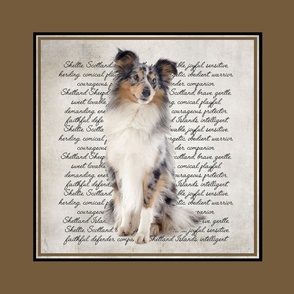 Blue Merle Sheltie Pillow/Quilt