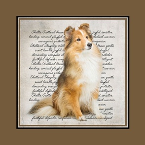 Sweet Sheltie Quilt/Pillow Block