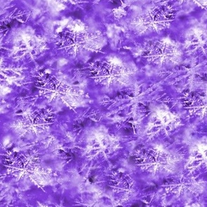 Scattered Snowflakes and Ice in Purple