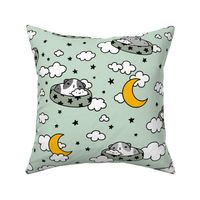 Sleepy Guinea pig Pattern in Mint Green, Large