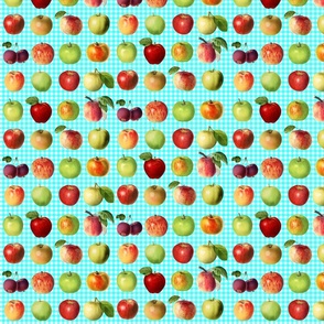 Tiny apples on aqua gingham