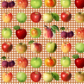 Apples on autumn brown gingham 