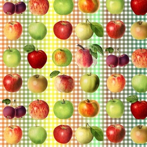 Apples on autumn rainbow gingham 