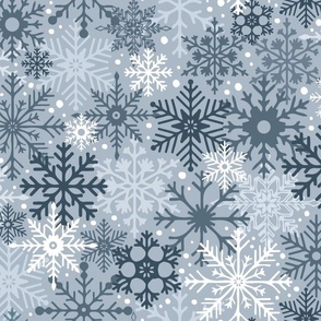 Frozen Snowflakes