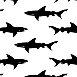 School of Sharks