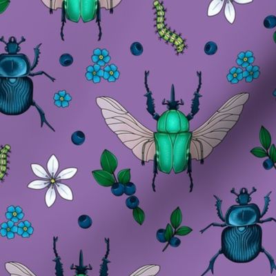 Beetles on purple