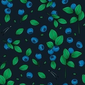 blueberries on black