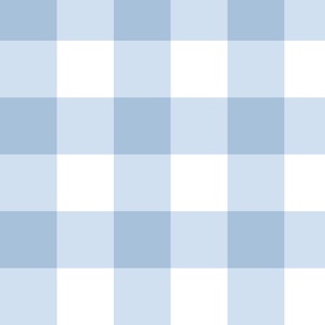 GINGHAM COORDINATE  PETAL SOLID COLOR SKY blue BIG