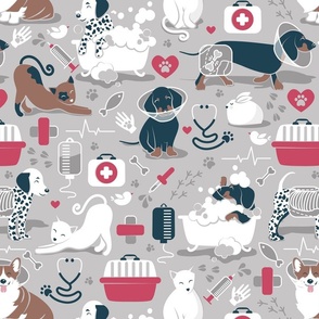 Normal scale // VET medicine happy and healthy friends // grey background red details navy blue white and brown cats dogs and other animals