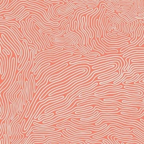 brain waves - coral