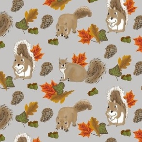 Playful Autumn Squirrels on grey